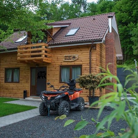 Bear'S Lair Chalet Porumbacu de Sus Exteriér fotografie