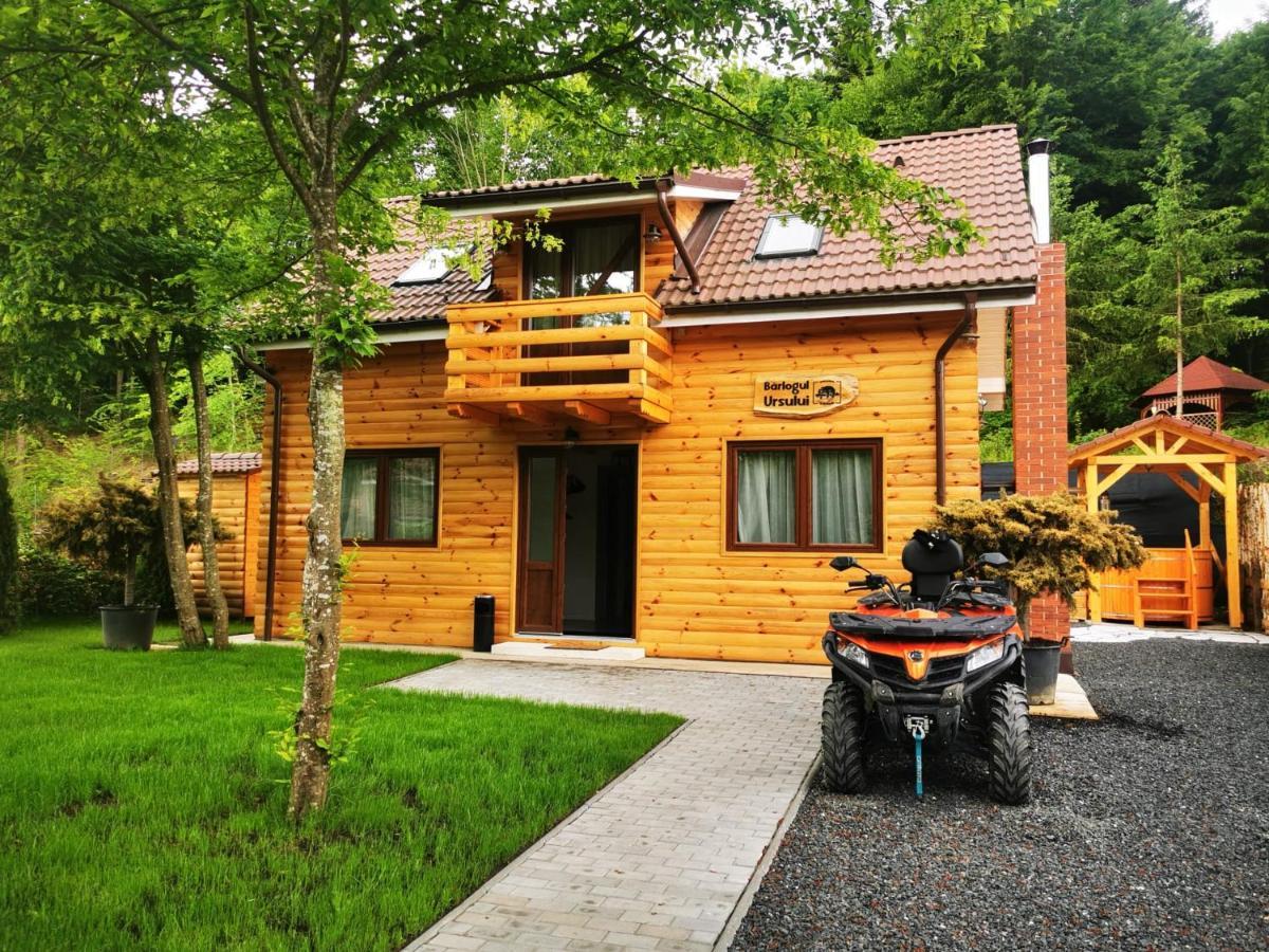 Bear'S Lair Chalet Porumbacu de Sus Exteriér fotografie