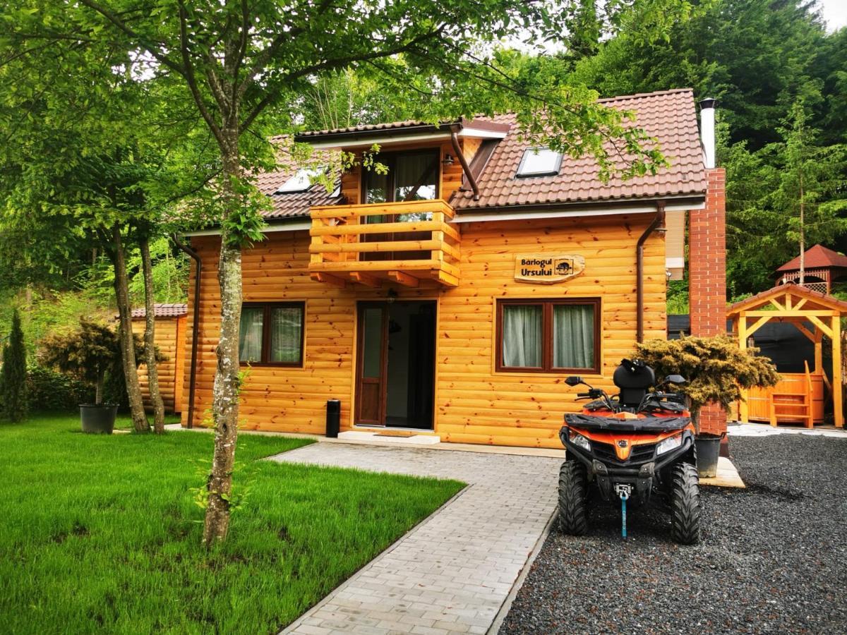 Bear'S Lair Chalet Porumbacu de Sus Exteriér fotografie
