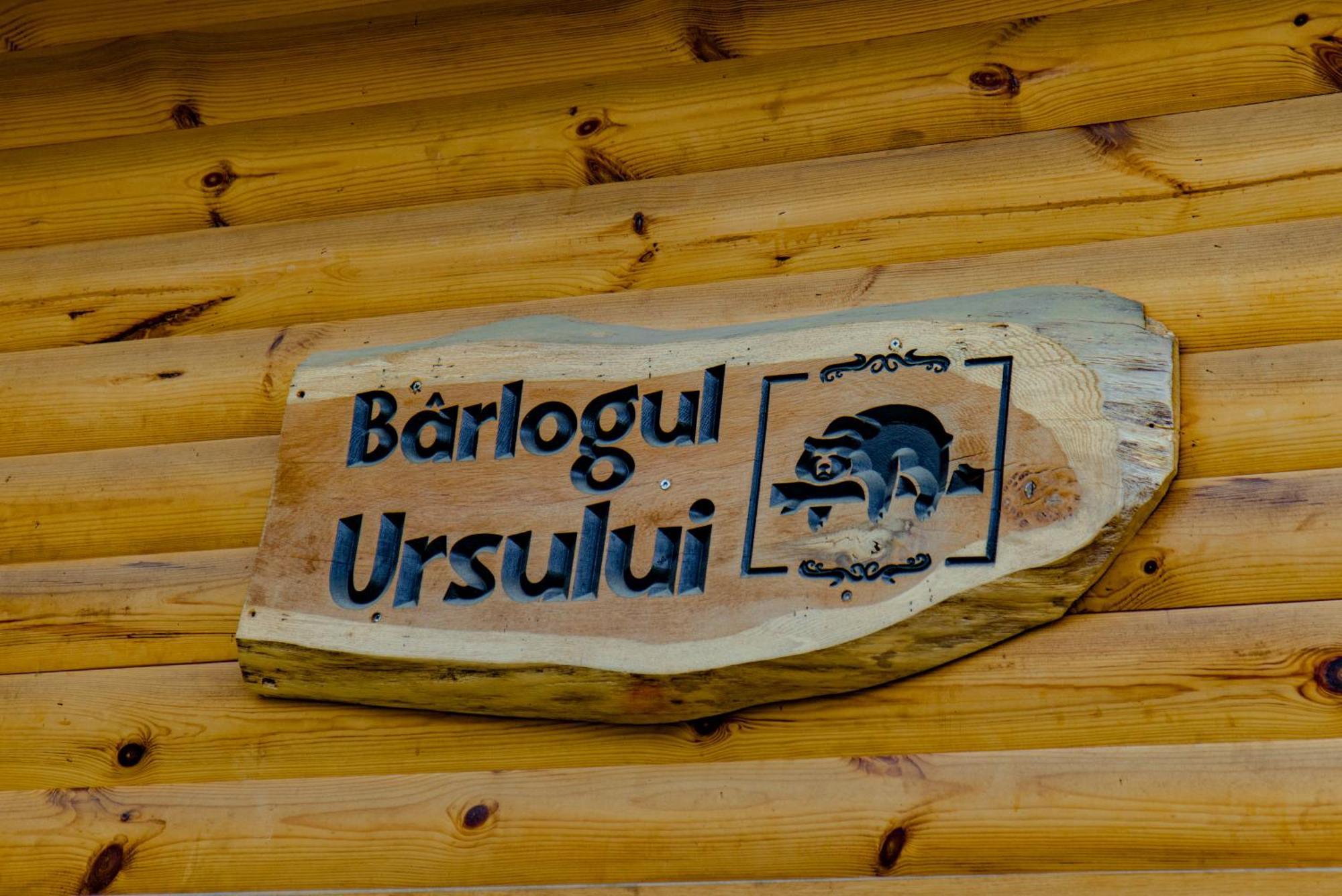 Bear'S Lair Chalet Porumbacu de Sus Exteriér fotografie