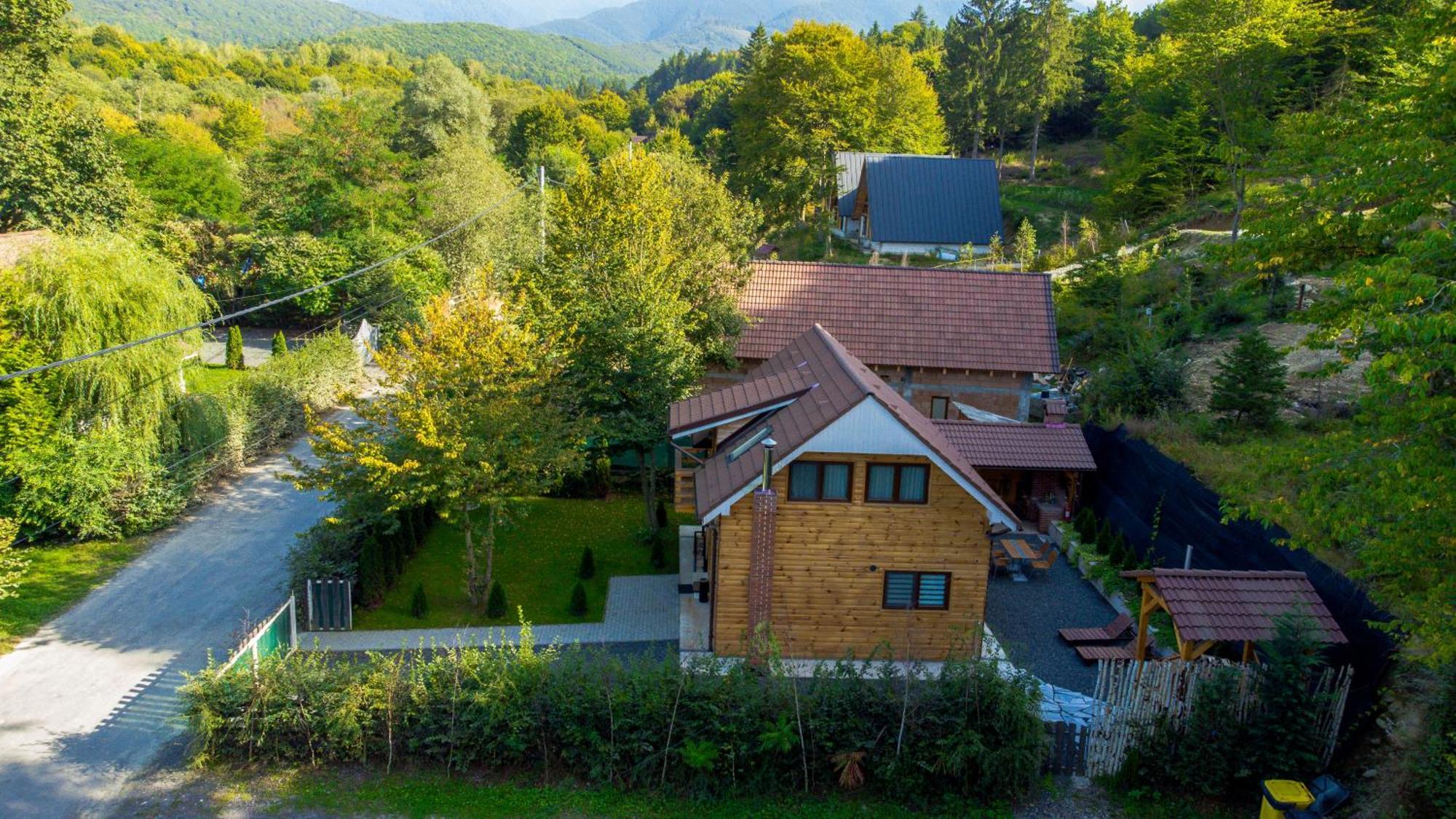 Bear'S Lair Chalet Porumbacu de Sus Exteriér fotografie