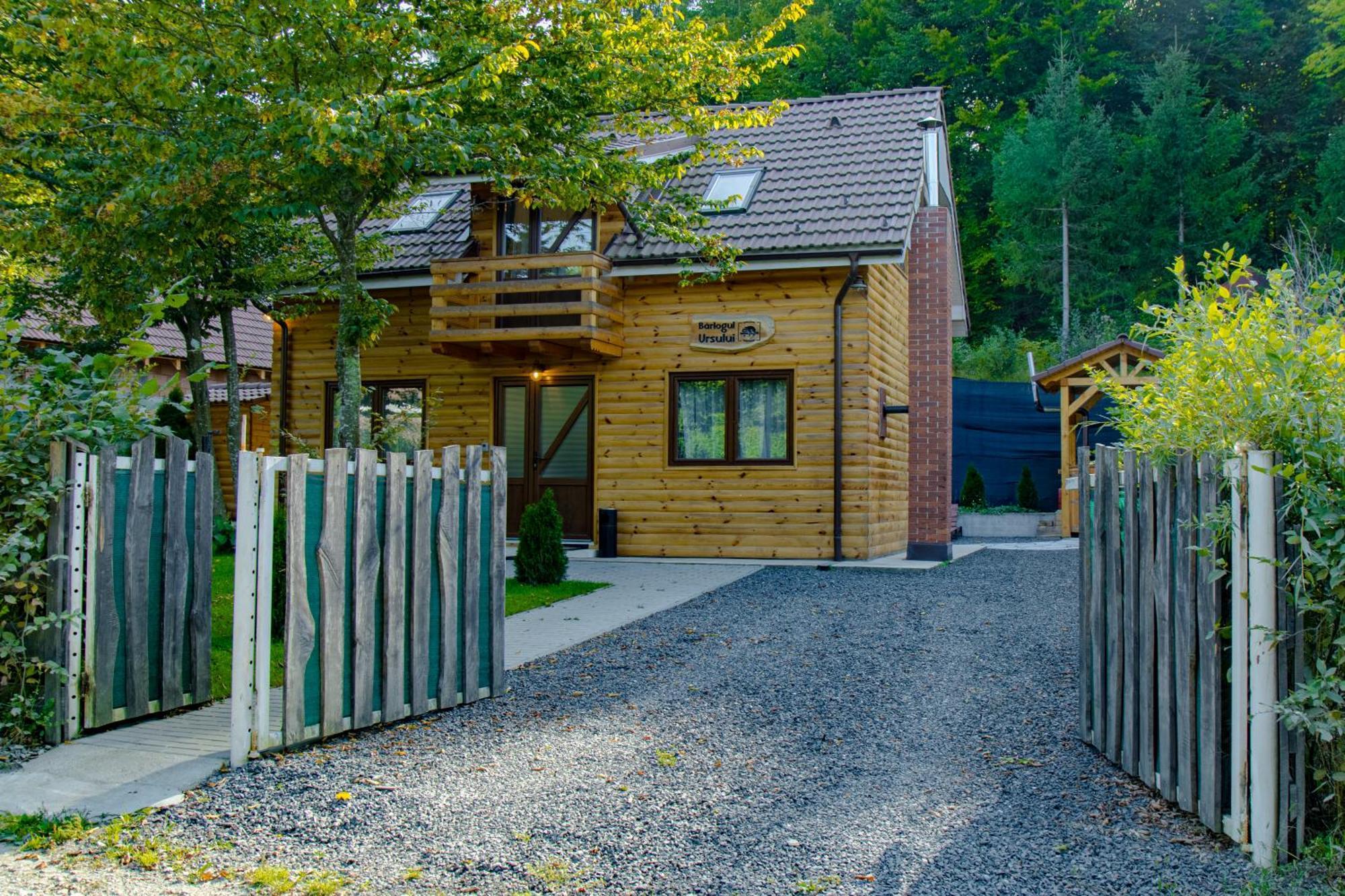Bear'S Lair Chalet Porumbacu de Sus Exteriér fotografie