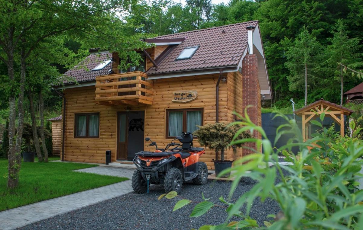 Bear'S Lair Chalet Porumbacu de Sus Exteriér fotografie